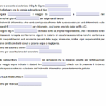 Autorizzazione Utilizzo Auto Personale