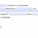 Delega Guida Auto Altrui
